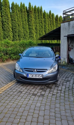 Peugeot 307 CC cena 9800 przebieg: 316000, rok produkcji 2004 z Aleksandrów Łódzki małe 154